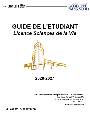vignette guide