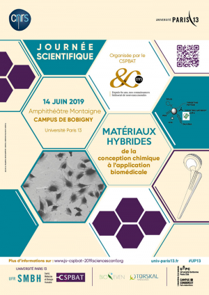 Conférence : "Matériaux Hybrides : de la conception chimique à l’application biomédicale", UFR SMBH le 14 juin 2019