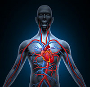 DIU Médecine Interne Polyvalente Ambulatoire